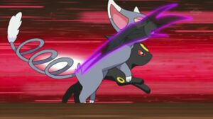 Chaglam Griffe Ombre.jpg