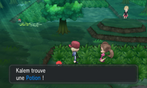 Forêt de Neuvartault Potion Ouest XY.png