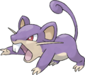 0019 - Rattata