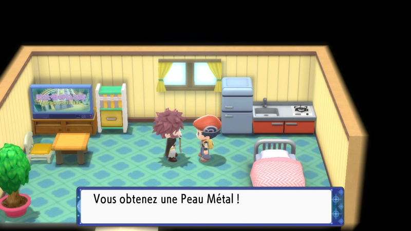 Fichier:Île de Fer Peau Métal DEPS.png