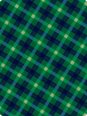 Fond Carte 3 HOME.png