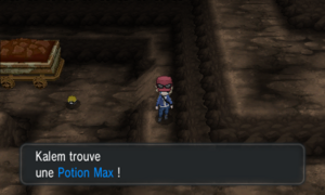 Grotte Coda Potion Max XY.png