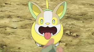 LV037 - Voltoutou de Chloé.png