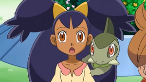 NB036 - Coupenotte d'Iris.png