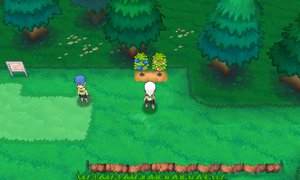 Route 102 Baies ROSA.png