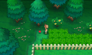 Route 117 Rappel ROSA.png