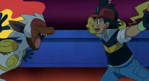 Simiabraz et Sacha.jpg