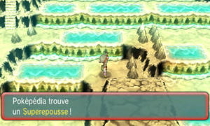 Site Météore Superepousse ROSA.png