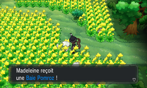 Village Pokémon Baie Pomroz XY (2).png