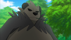 XY011 - Pandarbare.png