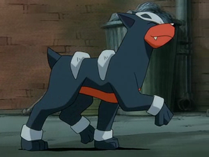 Mini-Film 03 - Malosse Sauvage.png