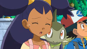 NB098 - Coupenotte d'Iris.png