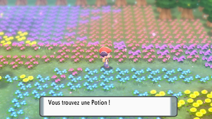 Pré de Floraville Potion DEPS.png