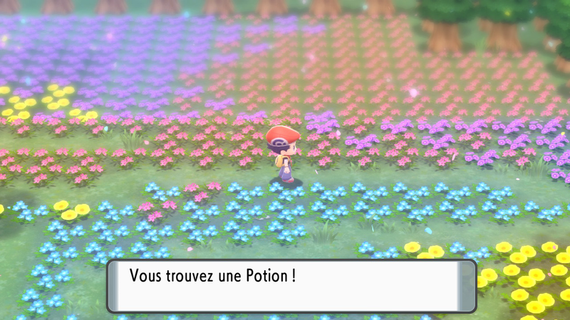 Fichier:Pré de Floraville Potion DEPS.png