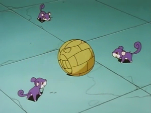 Rattata d'Albert.png