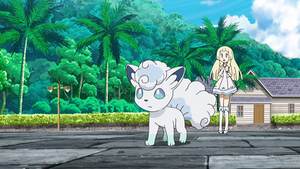 SL116 - Goupix d'Alola de Lilie.png