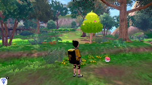 Forêt Flexion Graine Miracle EB.png