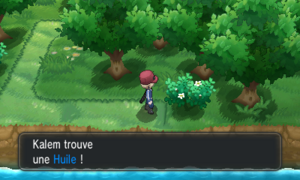 Fort Vanitas Huile XY.png