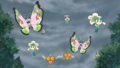 Prismillon, Floette, Apitrini et Flabébé (sauvages)