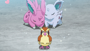 Roucool, Nidoran♂ et Nidoran♀ de Gō.png