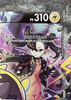 Carte Promo SWSH SWSH288.png