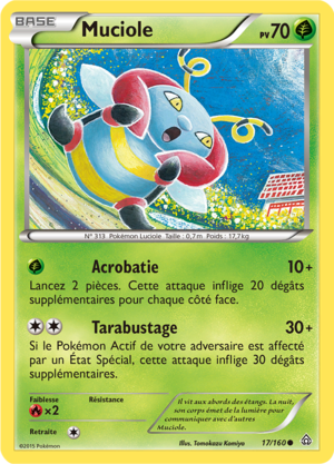 Carte XY Primo-Choc 17.png