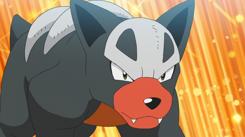 Fichier:Malosse de la Team Rocket.png