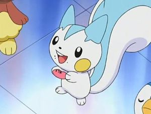 Pachirisu mange un poffin.jpg