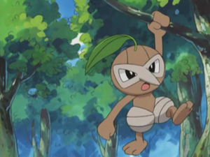 Pifeuil de Morita.png