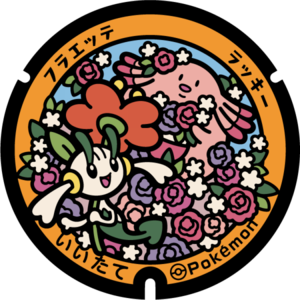 Poké Lid 254 Iitate.png