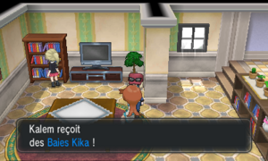 Relifac-le-Haut Baie Kika XY.png