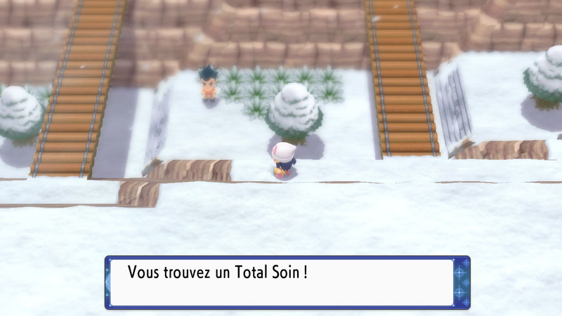 Fichier:Route 216 Total Soin DEPS.png