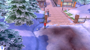 Route 9 Potion Max EB.png