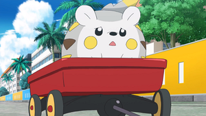 SL013 - Togedemaru de Chrys.png