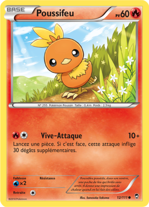 Carte XY Poings Furieux 12.png