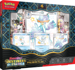 Recto du coffret.