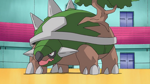 DP179 - Torterra de Sacha.png
