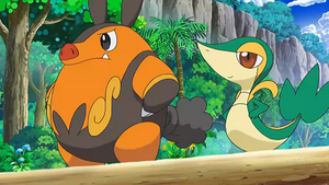 NB129 - Grotichon et Vipélierre de Sacha.png