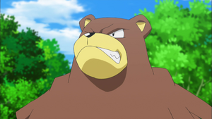 XY035 - Ursaring.png