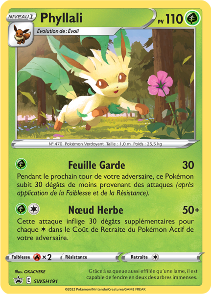 Fichier:Carte Promo SWSH SWSH191.png