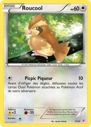 Carte XY Kit du Dresseur Grodoudou 11.png
