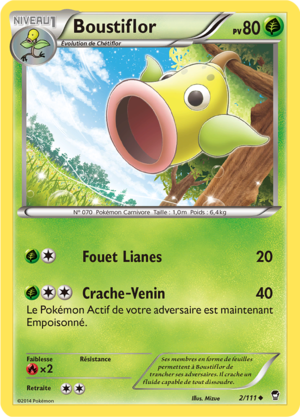 Carte XY Poings Furieux 2.png