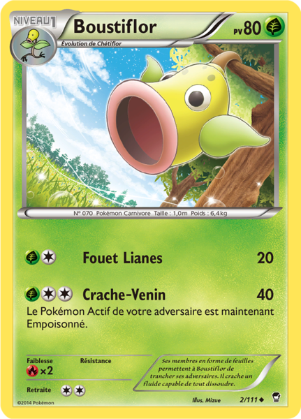 Fichier:Carte XY Poings Furieux 2.png
