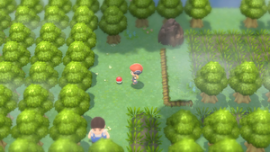 Grand Marais Miel DEPS.png