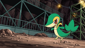 NB061 - Vipélierre de Sacha.png