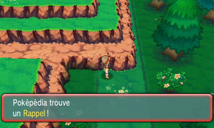 Parc Safari Rappel ROSA.png