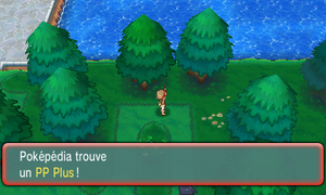 Route 123 PP Plus ROSA.png
