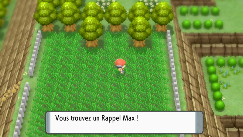 Fichier:Route 213 Rappel Max 2 DEPS.png