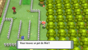 Route 214 Miel DEPS.png