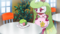 Shaymin (sauvage) et Sucreine (de Barbara)